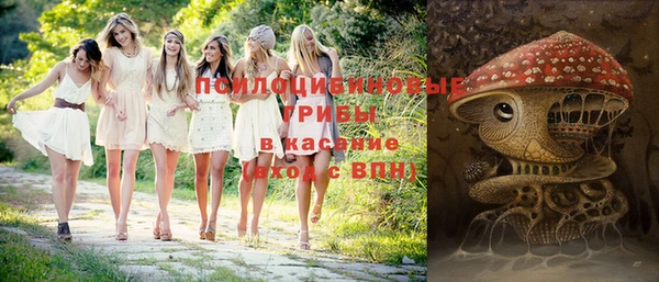 стаф Алексеевка