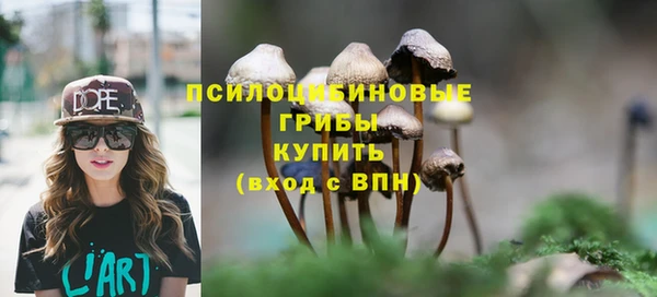 стаф Алексеевка