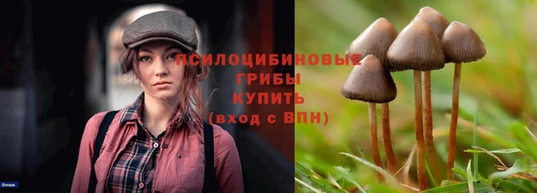 героин Алзамай