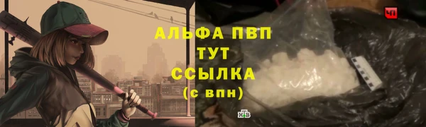 индика Каменногорск