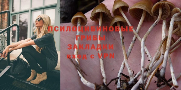 spice Алексин